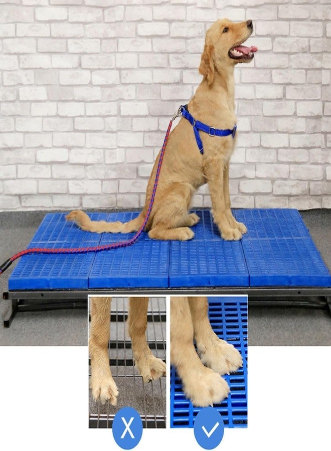 KsPups Plastic Pet Bed Mat for Dog, Cat, Rabbit, Goat | Multipurpose Floor Mat for Indoor Outdoor Use | 36 x 12 Inch | X-Large Size | Blue | Pack of 2 - Image 3